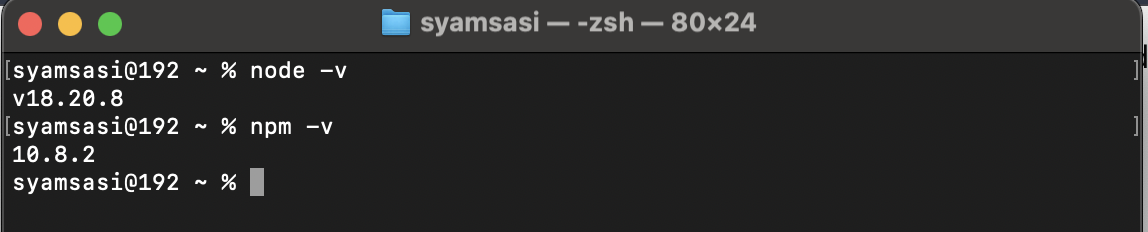 Terminal showing Node.js and npm version check
